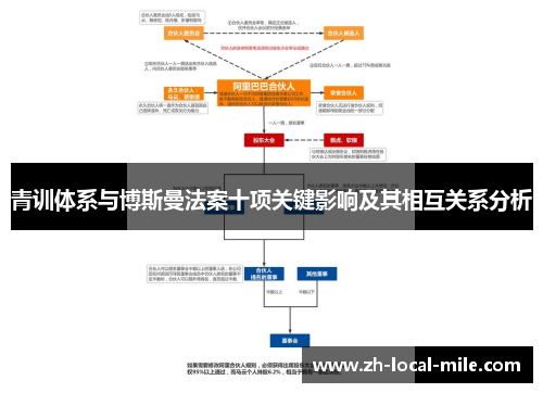 青训体系与博斯曼法案十项关键影响及其相互关系分析
