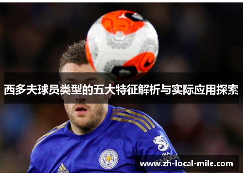 西多夫球员类型的五大特征解析与实际应用探索